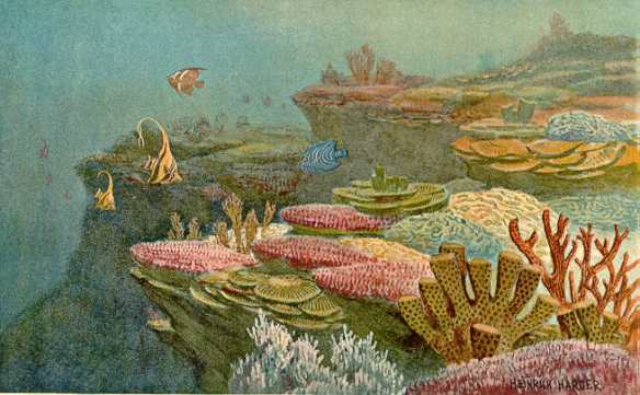 Ancient_coral_reefs